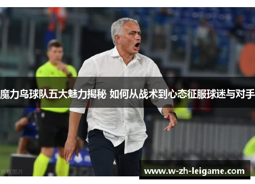魔力鸟球队五大魅力揭秘 如何从战术到心态征服球迷与对手