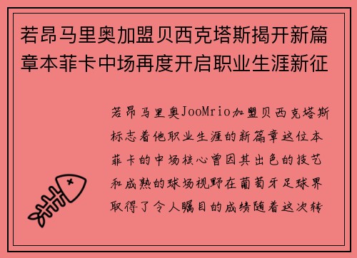 若昂马里奥加盟贝西克塔斯揭开新篇章本菲卡中场再度开启职业生涯新征程