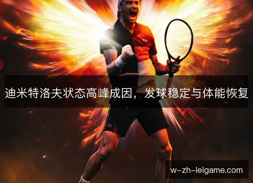 迪米特洛夫状态高峰成因,发球稳定与体能恢复 迪米特洛夫状态高峰成因,发球稳定与体能恢复